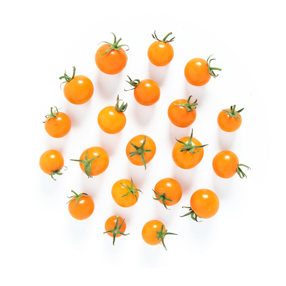 Wholesale BoxNCase Local Organic Sungold Cherry Tomatoes 1 Pt- Bulk