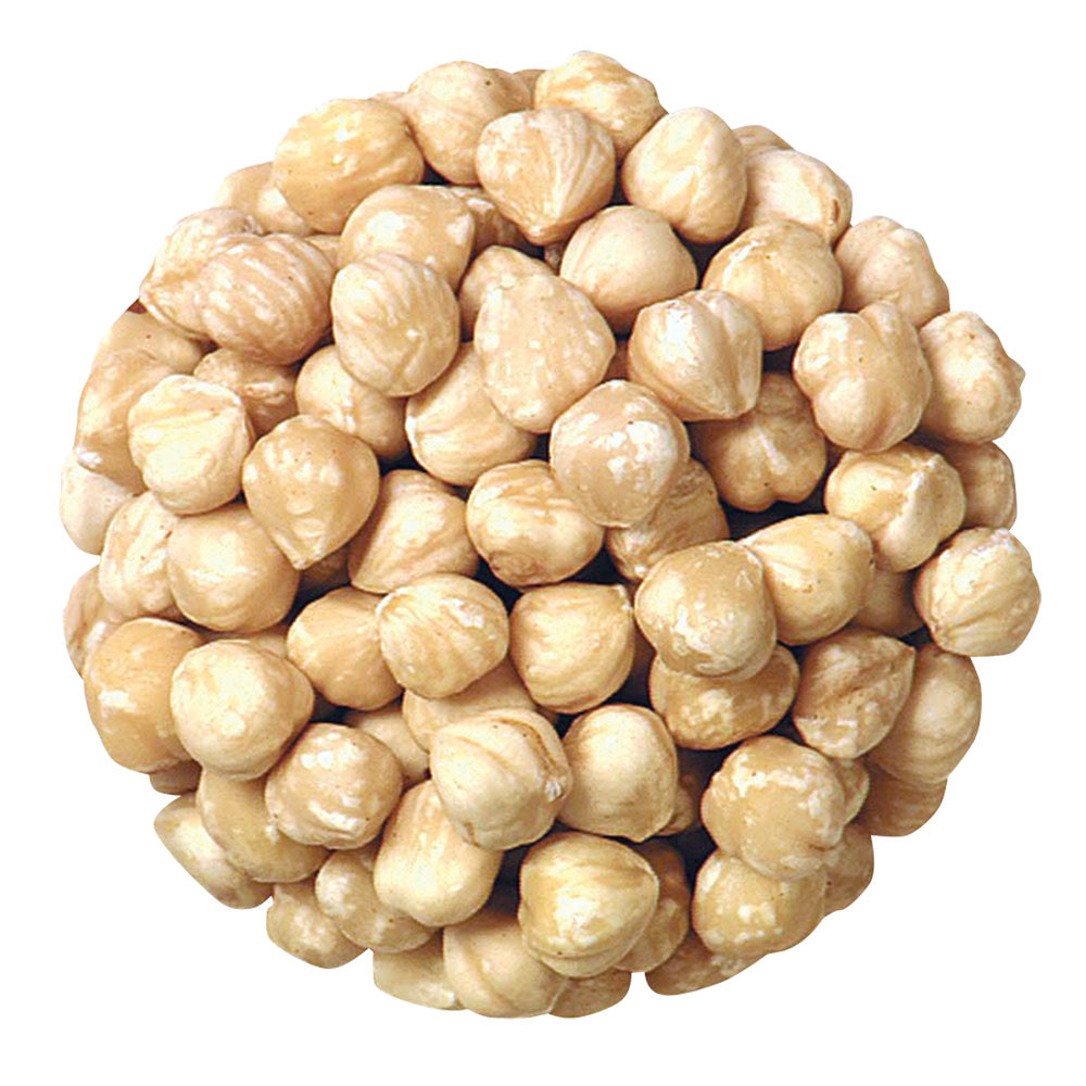 Wholesale Filberts (Hazelnuts) Blanched- Bulk