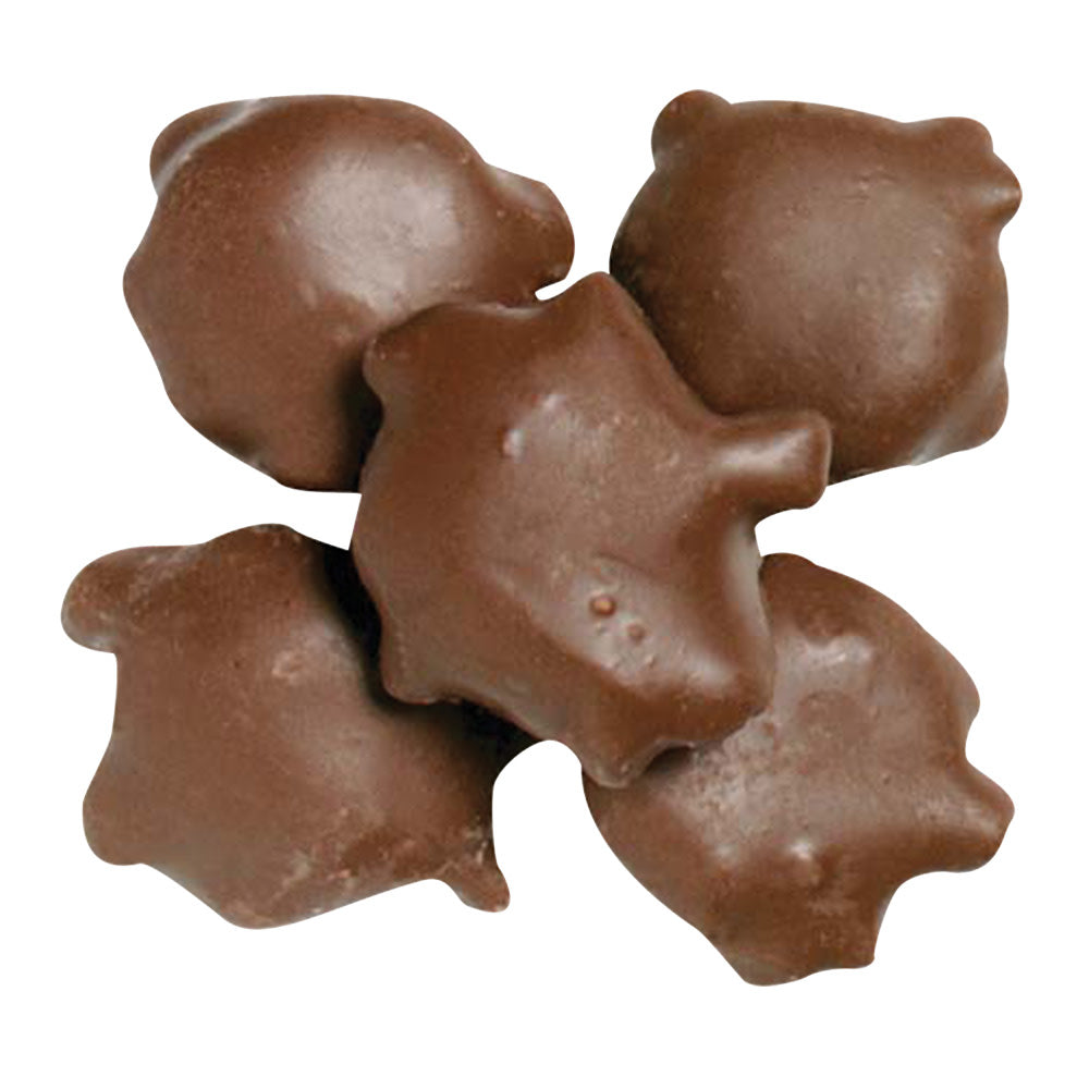 Wholesale BoxNCase Milk Chocolate Pecan Turtles- Bulk