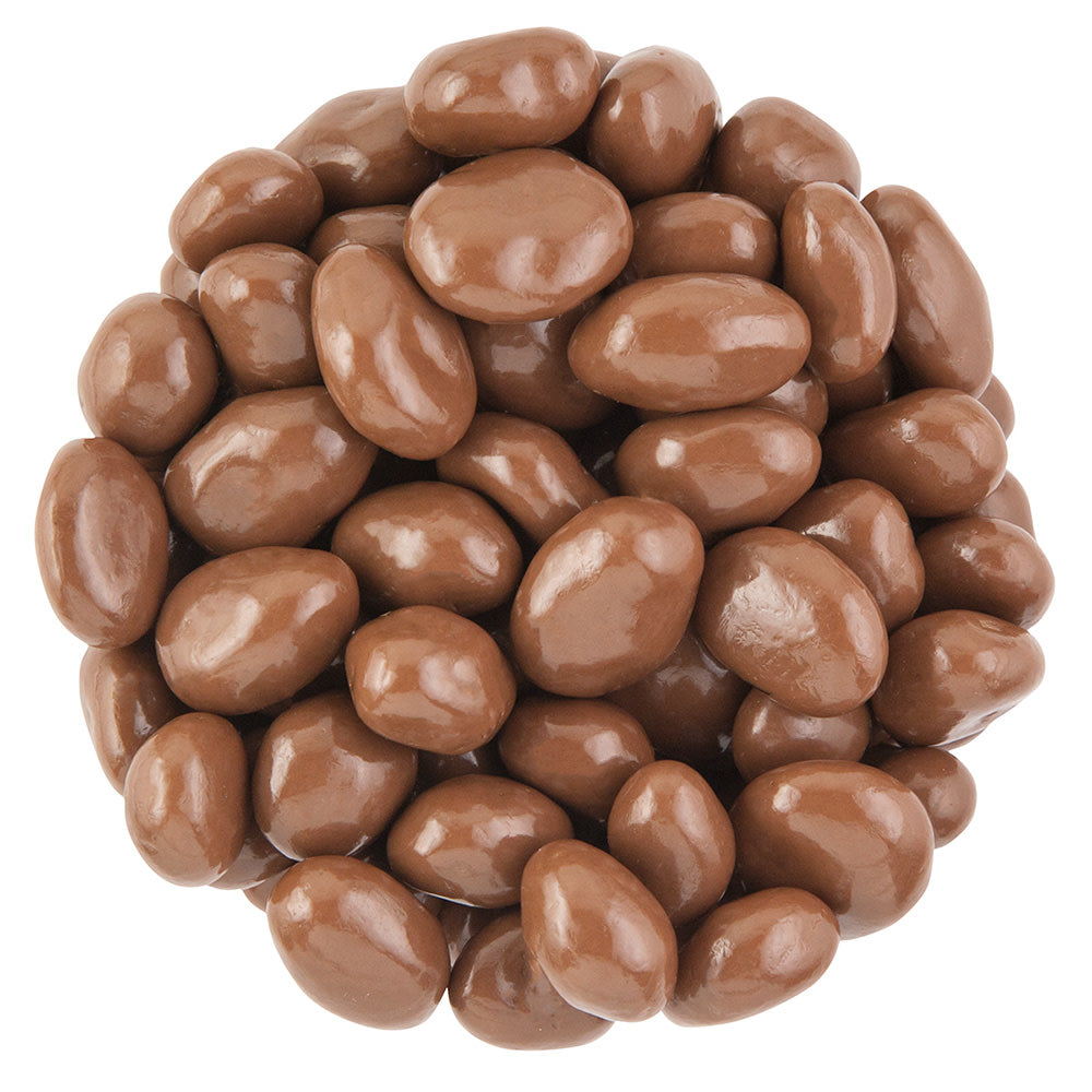 Wholesale BoxNCase Belgian Milk Chocolate Raisins- Bulk