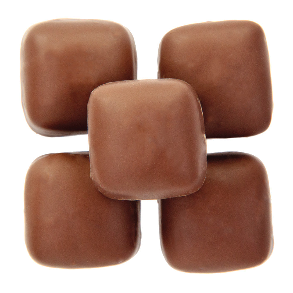 Wholesale BoxNCase Milk Chocolate Binable Caramels- Bulk