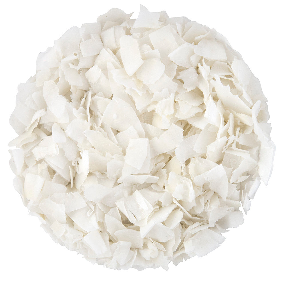 Wholesale Coconut Chips- Bulk