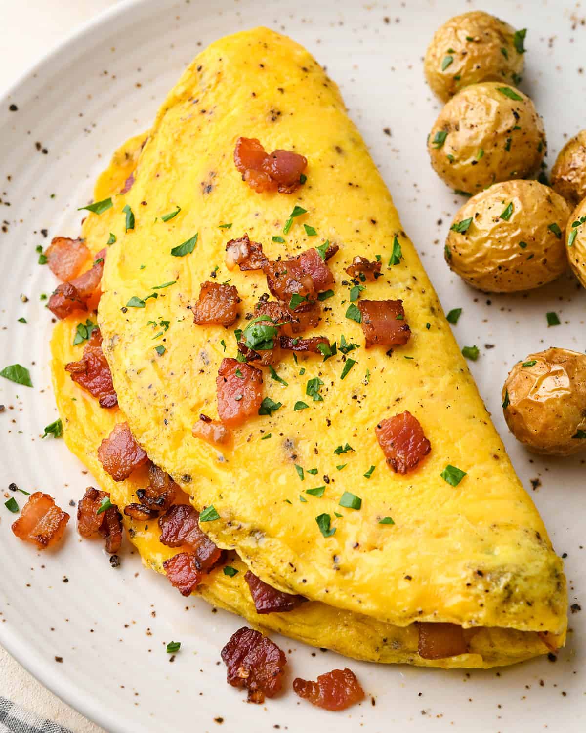 Savory Pork and Onion Omelette