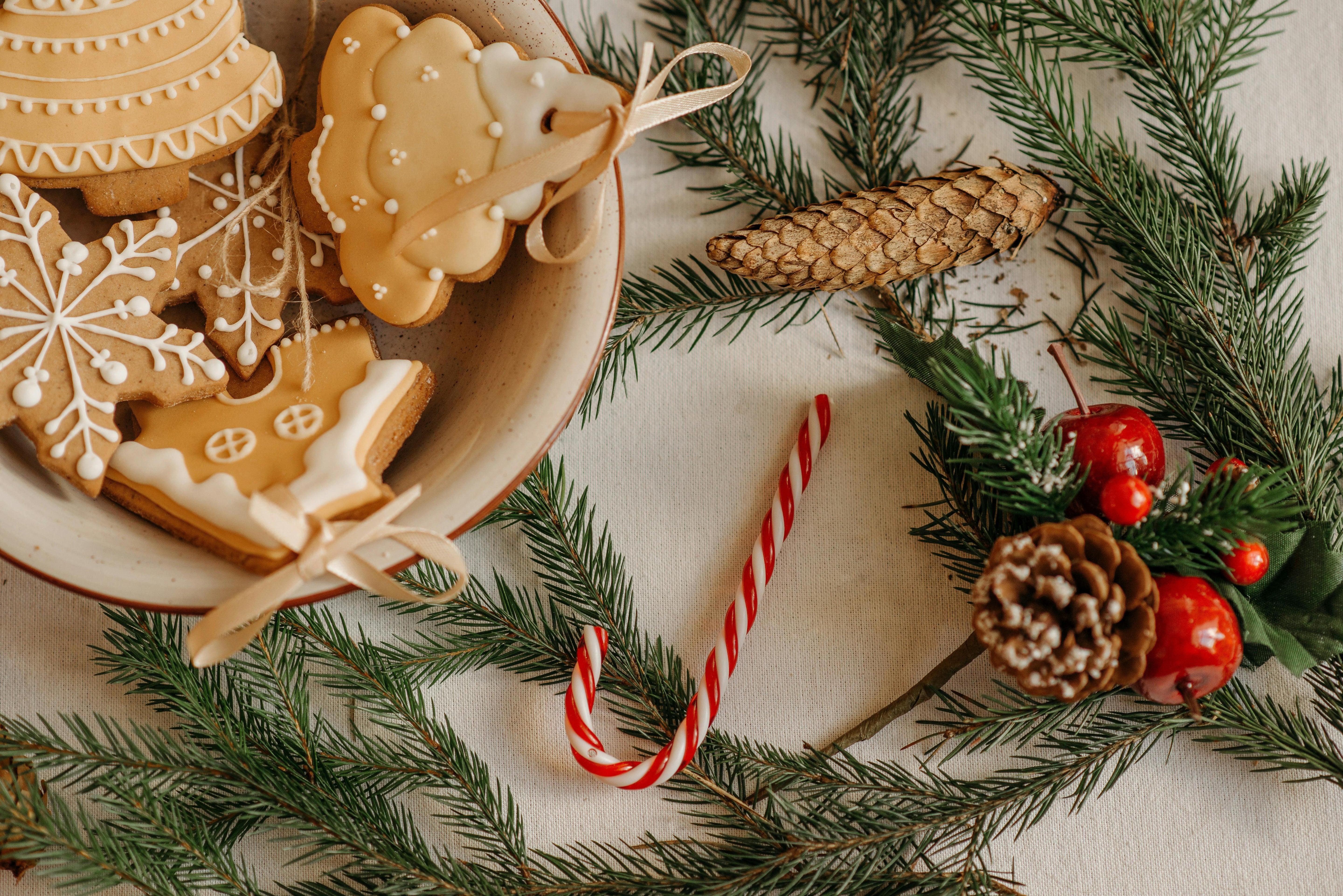 Festive Holiday Sugar Cookies