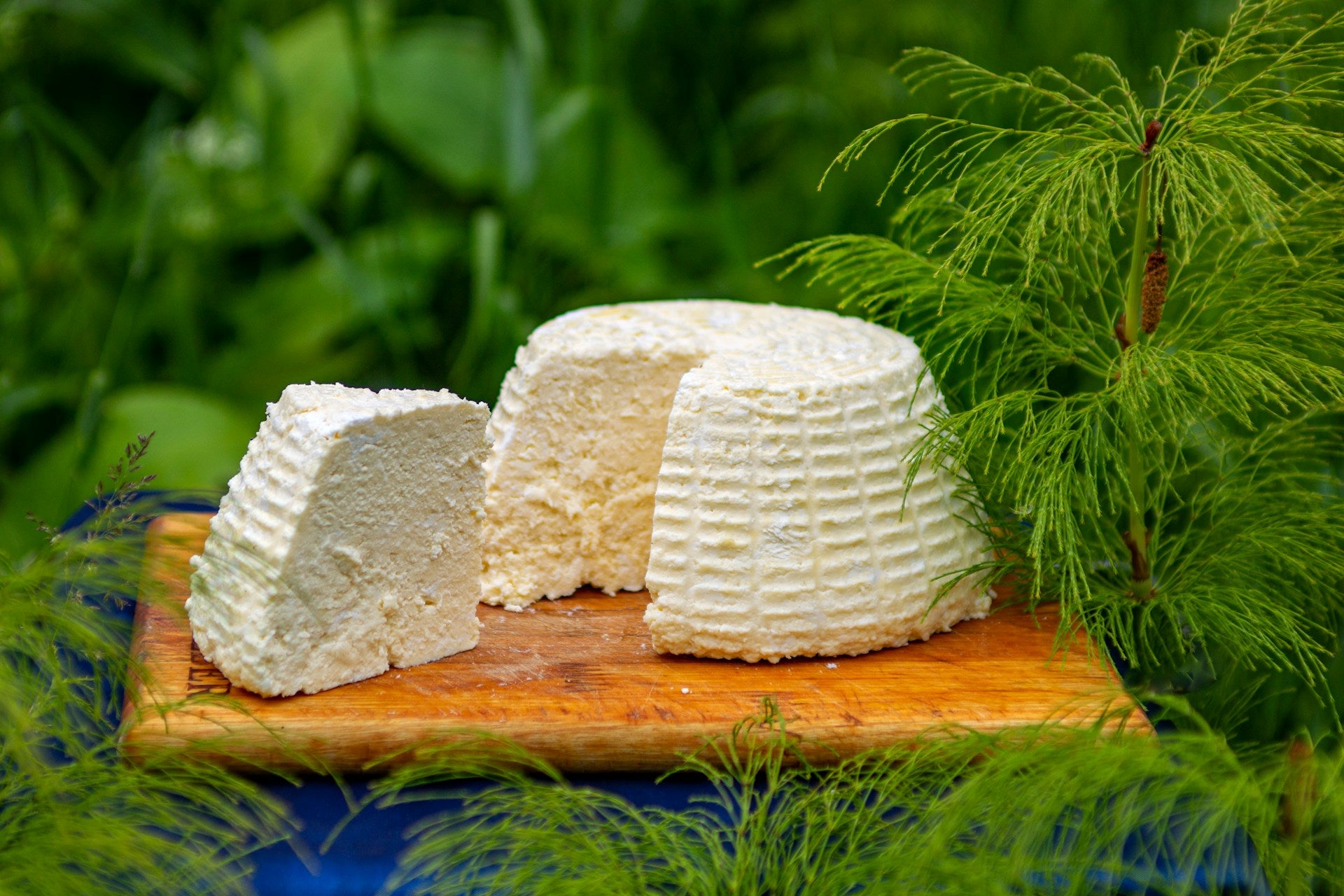 The Best Bulk Cheese to Buy Online