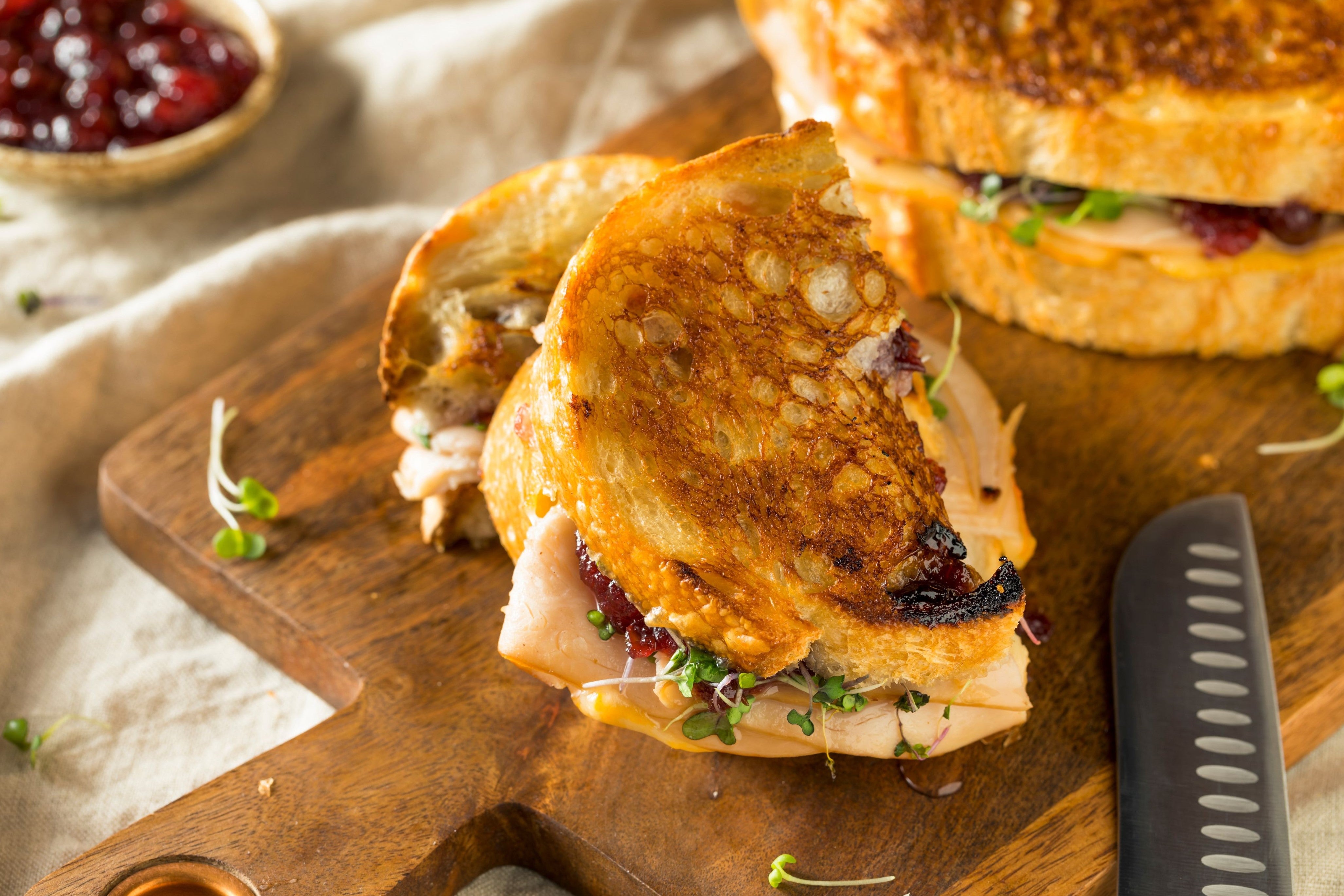 The Best 15 Minute Leftover Turkey Cranberry Panini Recipe