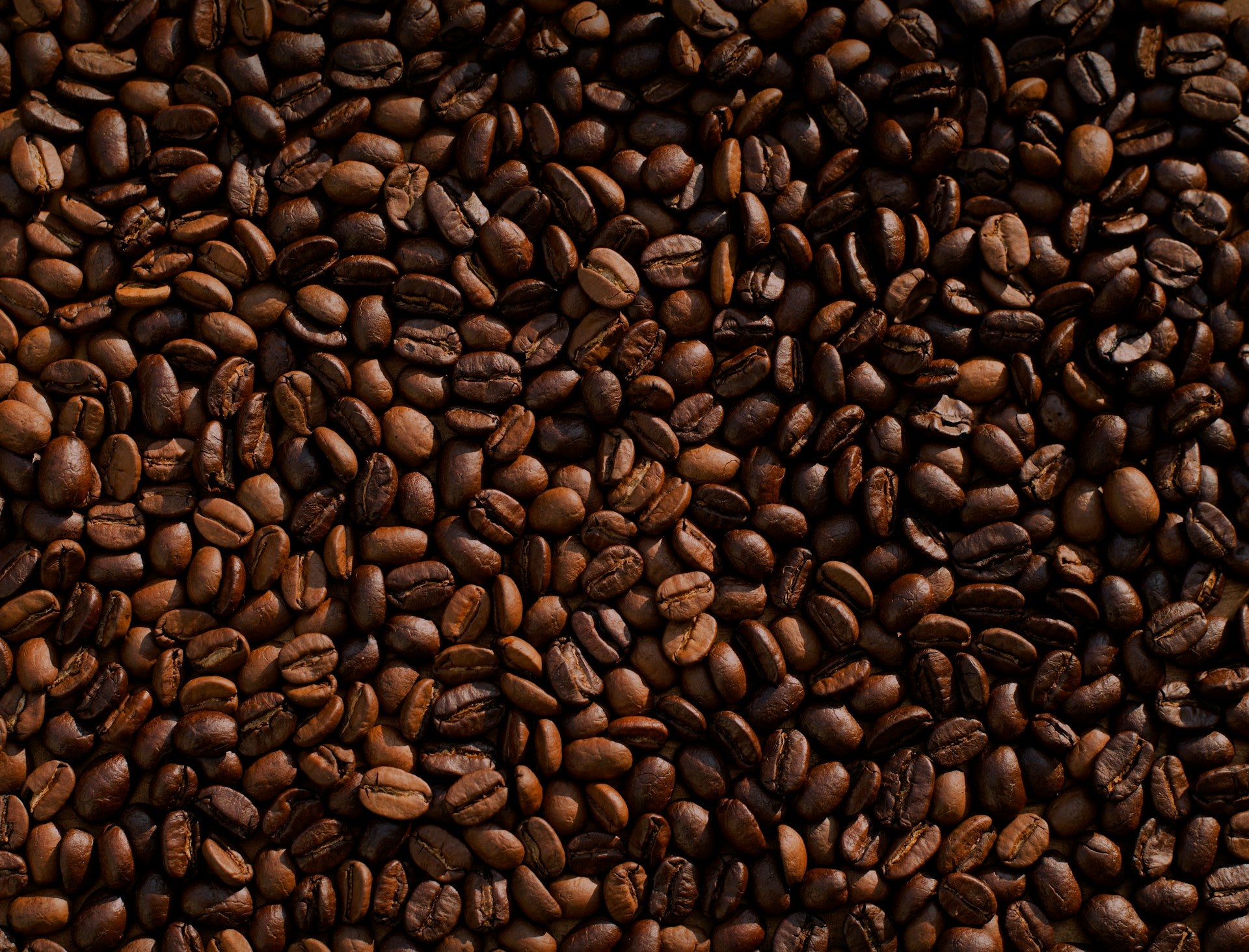 Cheapest Coffee Products to Buy in Bulk in the US