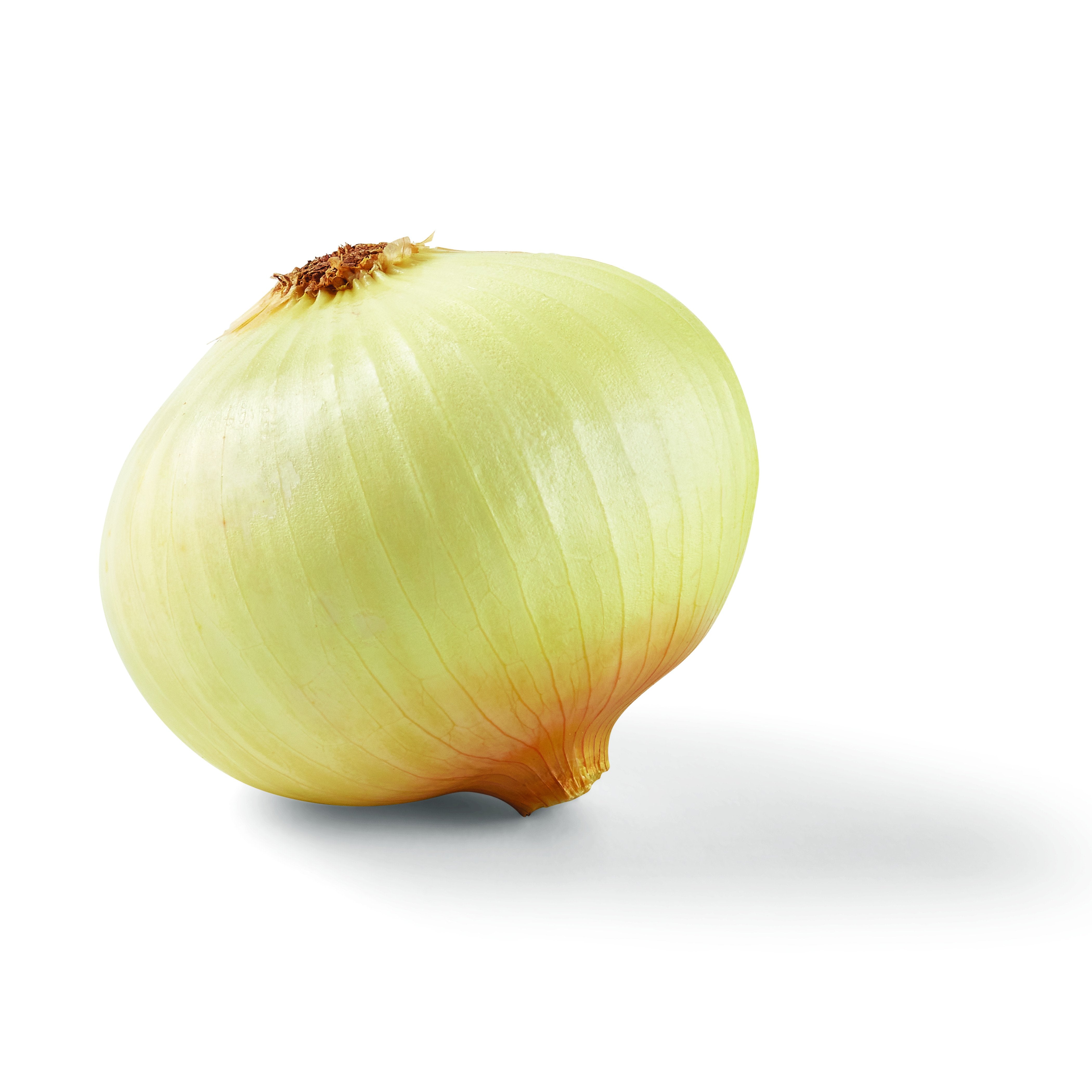 Wholesale Shuman Organic Sweet Onion 3 lb Pack-12ct Case Bulk