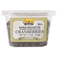 Wholesale Setton Farms Dark Chocolate Cranberries 11 Oz Tub- Bulk