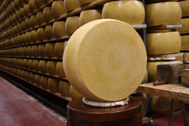 Wholesale Ambrosi La Traversetolese White Gold Parmigiano Reggiano Cheese 80 LB-1ct Case Bulk