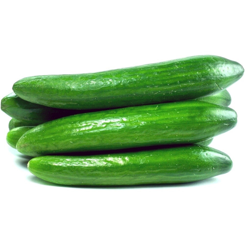 Wholesale BoxNCase Halfmoon Persian Cucumbers-5 LB Bulk