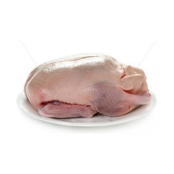 Wholesale Jurgielewicz Whole Duck 38lb-1ct Case Bulk