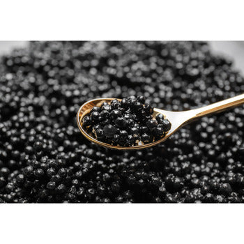 Sasanian Osetra Supreme Caviar 8.75oz