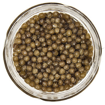 Sasanian Royal Osetra Caviar 1oz