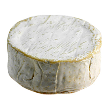 Brillat Savarin Triple Creme Cheese 17.5oz