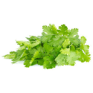 Wholesale Packer Cilantro 1kg-1ct Case Bulk