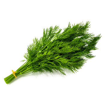 Packer Dill 1lb