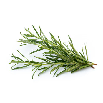 Wholesale Packer Rosemary 1kg-1ct Case Bulk