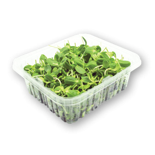 Wholesale Flavour Fields Micro Sunflower Sprouts 4oz-1ct Case Bulk