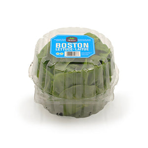 Wholesale Packer Hydroponic Boston Lettuce 12count-1ct Case Bulk