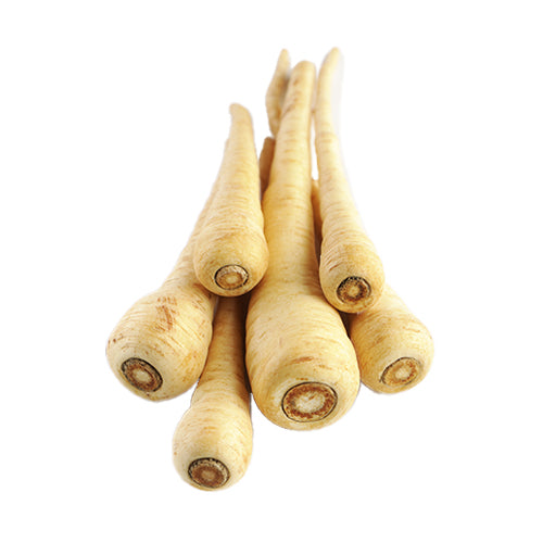 Wholesale Packer Parsnips 1lb-1ct Case Bulk