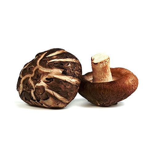 Wholesale Mushroom King Farm Organic XL Shiitake Mushrooms 3lb-1ct Case Bulk