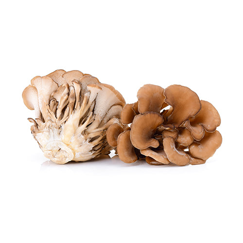 Mushroom King Farm Organic Maitake Mushroom 3lb