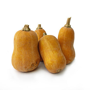 Lancaster Farm Fresh Organic Honeynut Squash 15lb