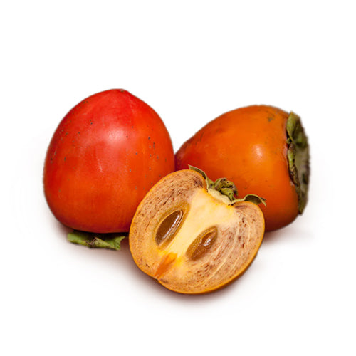 Packer Chocolate Persimmon 25lb