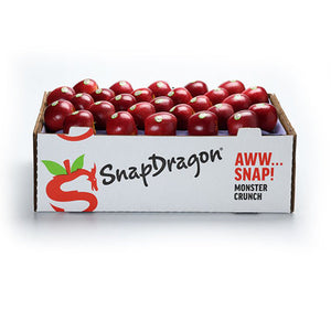 Wholesale Packer SnapDragon® Apples 65count-1ct Case Bulk