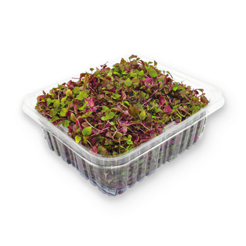 Wholesale Flavour Fields Micro Shiso Purple 3oz-1ct Case Bulk