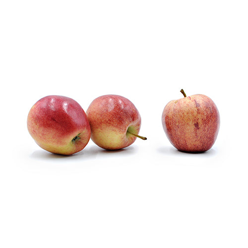 Wholesale Packer Fresh Apple Red, local- Bulk