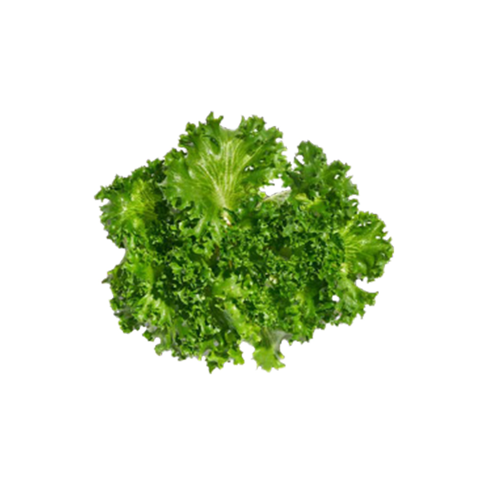 Gotham Greens Prd Lettuce Crispy Green Leaf 2.5lb