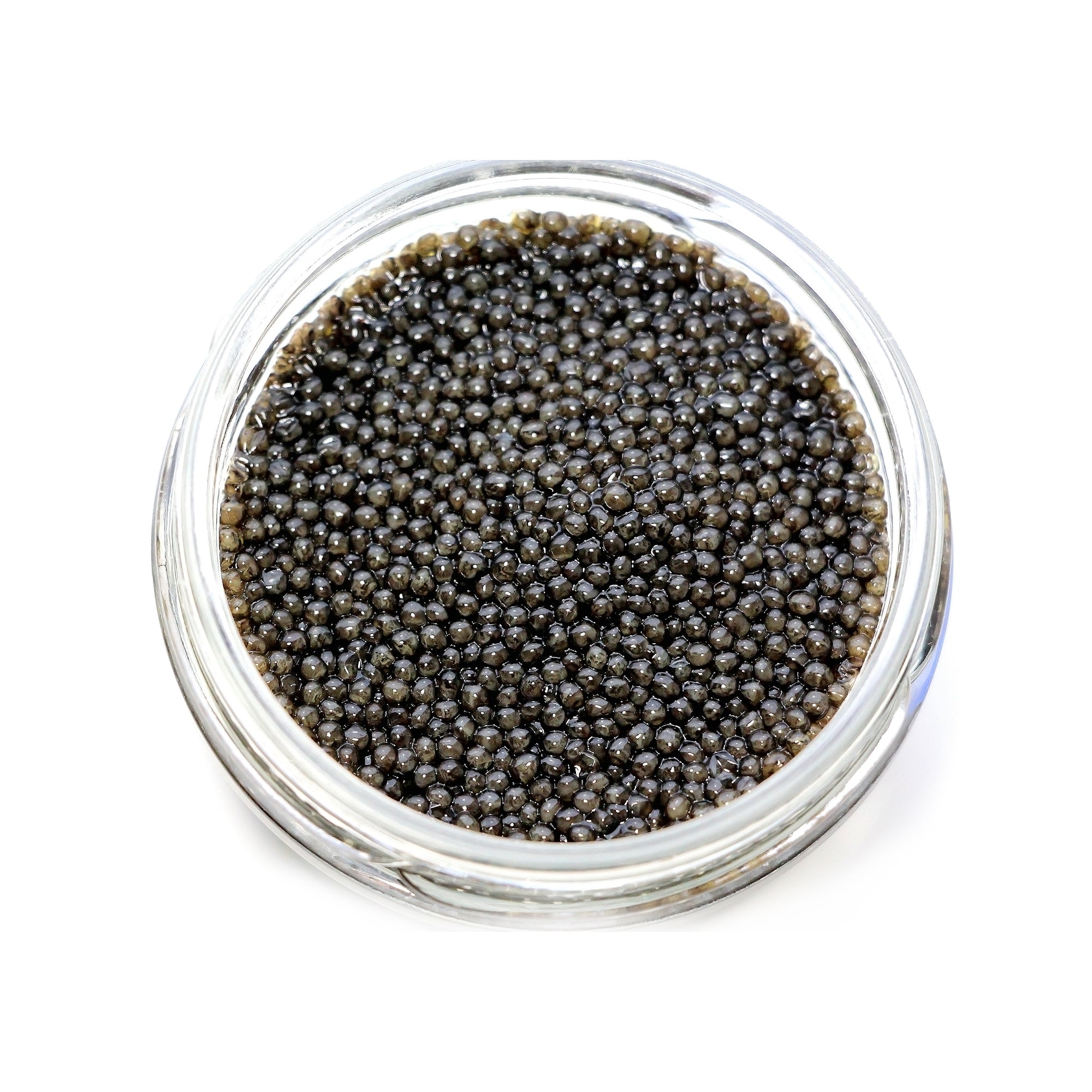 Sasanian 1 Oz Caviar Siberian Baerii 1oz