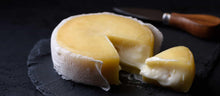 Wholesale Portuguese Cheese Importers Silva Sheep Cheese Wheels - 6 x 500g- Bulk