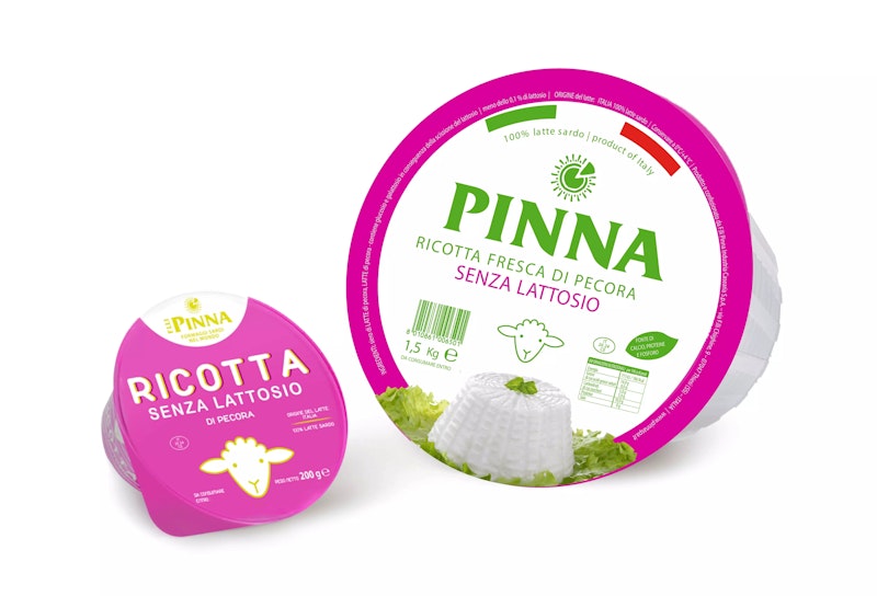 Wholesale Lactose Free Ricotta Fresca- Retail Cheese 7 OZ- Bulk