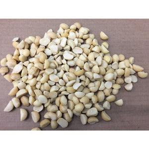 Wholesale Capitol Food Company Macadamia Pieces 25lb-1ct Case Bulk