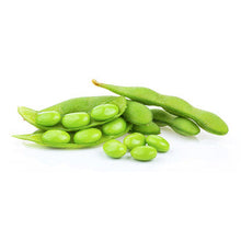 Wholesale Evergreen Soy Beans Edamame In Pod 1lb- Bulk