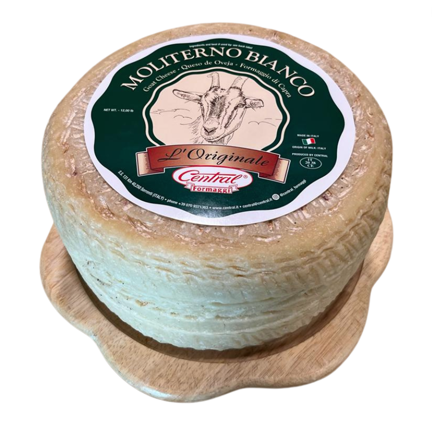 Wholesale Central Goat Moliterno Cheese 12 LB-2ct Case Bulk