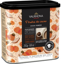 Wholesale Valrhona Cacao Powder 8.8 oz Canister- Bulk