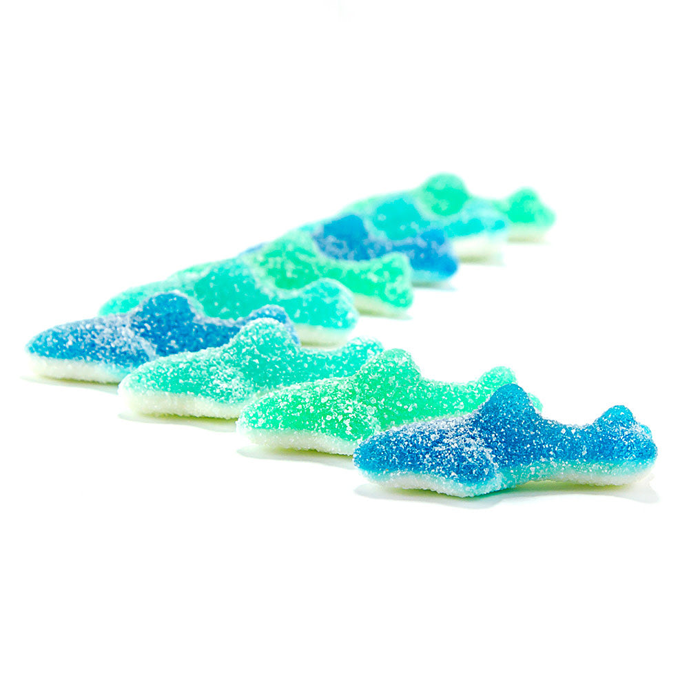 Wholesale Müttenberg Candy Sour Sharks- Bulk