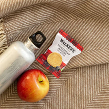 Wholesale Snack Pack Rounds 6 ct. 7.2 oz.- Bulk