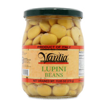 Wholesale Vantia Lupini Beans JARS 13 oz- Bulk