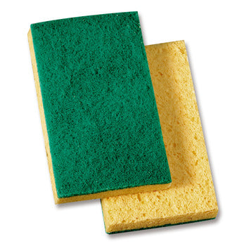 Packer Green & Yellow Scrubby Pads 20count
