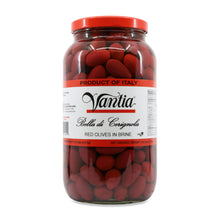 Wholesale Vantia Red Cerignola Olives Jar 4 lb- Bulk