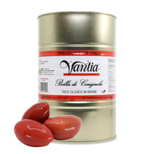 Wholesale Vantia Red Cerignola Olives 5 lb- Bulk