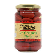 Wholesale Vantia Red Cerignola Olives Jar 7 oz- Bulk