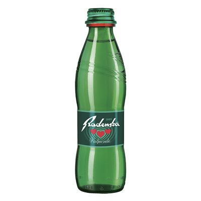 Radenska Mineral Water 250Ml Bottle