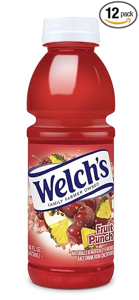Welch's Fruit Punch, 16 Fl oz