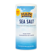 Wholesale Hain Pure Foods Iodized Sea Salt 21 Oz Bottle- Bulk